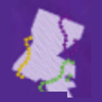 Louisiana design